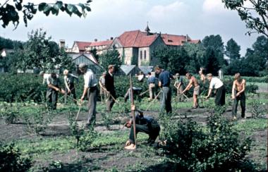 Jugendliche 1956 bei der Gartenar-beit im Erziehungsheim Klausheide In Hövelhof (Kreis Paderborn).<br>Foto: LWL/Klose<br />