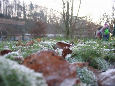 Bei einem Streifzug durch die Natur kann man allerlei Bastelmaterial für Geschenke finden. <br>Foto: LWL<br />