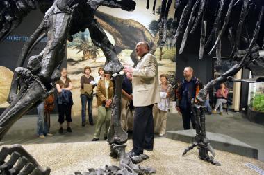 Durch das Reich der Riesen wandern und zahlreiche spannende geschichten über die Dinos erfahren, können die Teilnehmer der öffentlichen Sonntagsführung. <br>Foto: LWL<br />