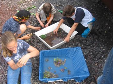 Mit Steinen, Sand und Pflanzen können die Museumsbesucher ihre eigene Wasserlandschaft gestalten. <br>Foto: LWL<br />