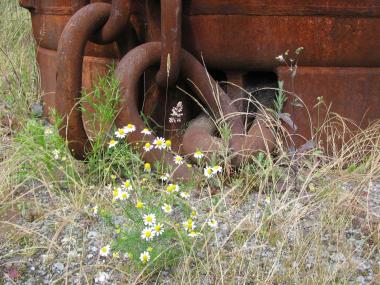 Die Teilnehmer der ¿Grünen Werkstatt¿ gehen im LWL-Industriemuseum auf frühlingshafte Entdeckungstour. <br>Foto: LWL<br />