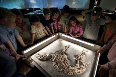 Weltberühmte Fossilien aus der Grube Messel sind noch bis zum 22. Mai in Münster zu sehen. <br>Foto: LWL/Oblonczyk<br />