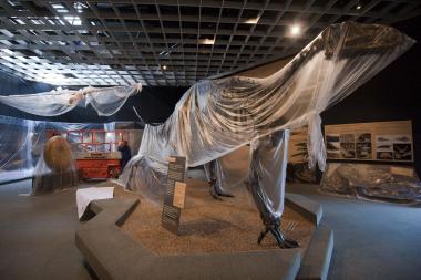 Die Dinosaurier-Ausstellung in Münster im LWL-Museum für Naturkunde wurde geschlossen und die Modelle abgebaut. <br>Foto: LWL/Oblonczyk<br />