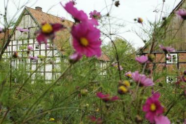Die ländlichen Gärten stehen im Mittelpunkt einer Führung durch das LWL-Freilichtmuseum Detmold. <br>Foto: LWL/Jähne<br />