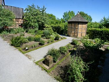 Im Apothekergarten des LWL-Freilichtmuseums Detmold sind typische Heilpflanzen entsprechend ihrer Wirkung sortiert. Foto: LWL/Jähne
