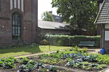 Im Arbeitergarten der Zeche Zollern werden Samstag Kohlrabi geerntet. <br>Foto: LWL<br />