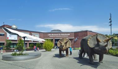 Im LWL-Museum für Naturkunde wartet auf die Besucher die spannende Ausstellung zu den Vorbildern der Natur und deren technische Umsetzung "Bionik - Patente der Natur". Foto: Oblonczyk, LWL