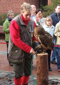 Die Tierpfleger der Greifvogelstation Hellenthal bringen zahlreiche Vögel mit und zeigen auch eine Gehegeschau. <br>Foto: LWL/Fialla<br />