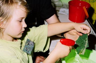 In der Bionikwerkstatt gibt es allerlei zu erforschen. <br>Foto: Thomas, LWL<br />