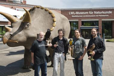 Die münsterschen Evolutionsforscher (v.l.): Prof. Jürgen Brosius, Dr. Jürgen Schmitz, Dipl.-Biol. Alexander Suh (ZMBE) und Dr. Jan Ole Kriegs vom LWL-Museum für Naturkunde. Foto: LWL/Oblonczyk