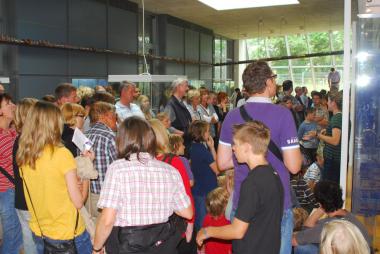 Das verlangt nach Verlängerung: Das Interesse an der Asterix-Ausstellung war bisher groß, die öffentlichen Führungen waren extrem gut besucht. <br>Foto: LWL/S. Holländer<br />