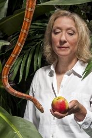 Schauspielerin Beate Reker nimmt Interessierte mit auf ihre literarischen Rundgänge zur Sonderausstellung ¿Tiere der Bibel¿. <br>Foto: LWL/Oblonczyk<br />