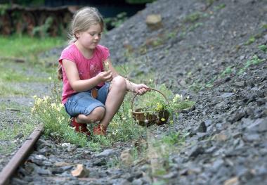 Naturmaterialien finden sich rund um die Zeche Nachtigall. &lt;br&gt;Foto: W.Fischer&lt;br /&gt; 