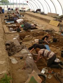 Seit 2009 erforschen die LWL-Archäologen die Großsteingräber der Jungsteinzeit bei Erwitte-Schmerlecke. <br>Foto:LWL/M. Baales<br />