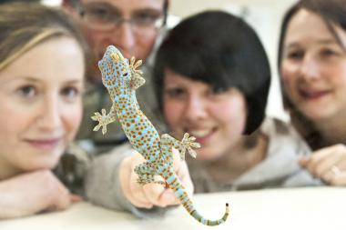 Faszinierende Oberflächen stehen beim dritten Aktionstag zur Sonderausstellung ¿Bionik ¿ Patente der Natur¿ im Mittelpunkt. <br>Foto: LWL/Oblonczyk<br />