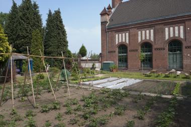 Im Arbeitergarten der Zeche Zollern können die Besucher nicht nur sehen, wie sich Bergarbeiterfamilien früher versorgt haben, sondern auch viel über Gemüseanbau lernen. <br>Foto: LWL<br />
