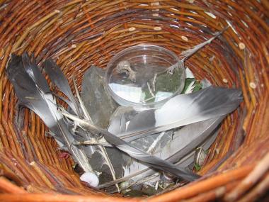 Auch Federn findet man auf dem Gelände der Henrichshütte. <br>Foto: LWL<br />