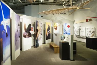 Helikopter und Libellen im Vergleich. Blick in die Bionik-Ausstellung im LWL-Naturkundemuseum. <br>Foto: LWL/Oblonczyk<br />