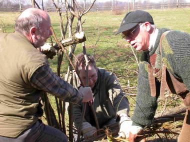 In  der Woche nach Ostern kann man den Nieheimern im LWL-Freilichtmuseum Detmold beim Heckeflechten über die Schulter schauen. <br>Foto: LWL<br />