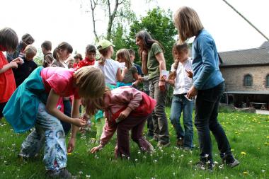 Löwenzahn und Wiesenschaumkraut pflücken die Teilnehmer der Zechen-Safari. <br>Foto: LWL<br />