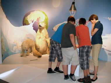 Die Bionik-Sonderausstellung im LWL-Museum für Naturkunde endet. Nur noch wenige Wochen und Eisbär und Co. sind verschwunden. <br>Foto: LWL/Fialla<br />