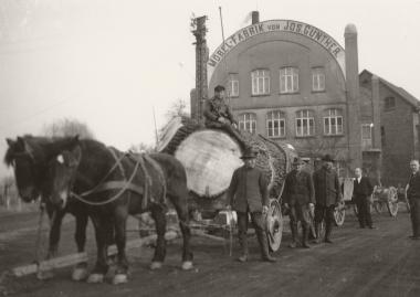 Ein Baumriese wird zur Sägemühle gebracht, Möbelfabrik Josef Günther, Steinheim, ohne Jahr, <br>Foto: Möbelmuseum Steinheim<br />