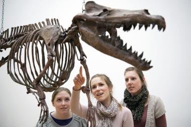 Die Vorfahren der Wale haben noch räuberische Zähne und ausgeprägte Hinterbeine. <br>Foto: LWL/Oblonczyk<br />
