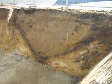 Eine kleine archäologische Sensation ist dieser Stadtgraben, der sich deutlich im Halterner Boden abzeichnet. <br>Fotos: U. Ruppert/Stadt Haltern<br />