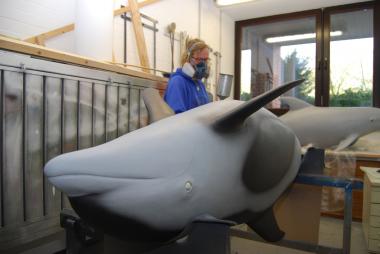 Die Malerin Beatrix Clement coloriert in ihrer Werkstatt im LWL-Museum für Naturkunde Delfinmodelle für die kommende Sonderausstellung. <br>Foto: LWL/Rösler<br />