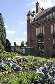 Am Samstag wird im Arbeitergarten geerntet. <br>Foto: LWL<br />