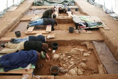 Spannende Funde haben die Archäologen in den Großsteingräbern in Schmerlecke gemacht. Was genau, darüber informiert Dr. Kerstin Schierhold im LWL-Museum für Archäologie aus erster Hand. <br>Foto: LWL/Schierhold<br />