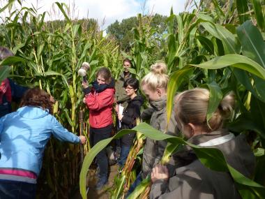 Maisfeld statt Klassenzimmer: Um der Vergangenheit auf die Spur zu kommen, sind auch Informationen über die Geologie wichtig. Die Schüler entnahmen selbst Erdproben mit Bohrkernen. <br>Foto: LWL/Linnemann<br />