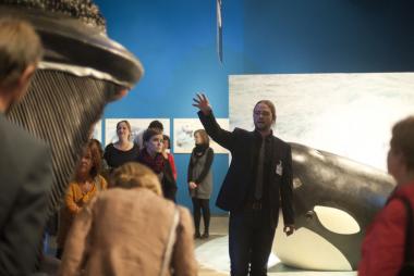 16.700 Besucher lockte die Wal-Ausstellung in den ersten zwei Wochen in das LWL-Museum für Naturkunde in Münster. <br>Foto: LWL/Oblonczyk<br />