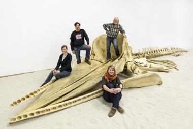 Chefpräparator Werner Beckmann (hinten rechts) und das restliche "Wal-Team". <br>Foto: LWL/Oblonczyk<br />