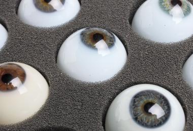 Jedes Auge ist anders. Farbe und Gestalt der Iris werden der Natur zum Verwechseln ähnlich nachgebildet.<br> Foto: LWL/Holtappels<br />