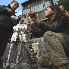Spurensuche mit Birgit Ehses auf der Industriebrache der Henrichshütte. <br>Foto: LWL/Fischer<br />