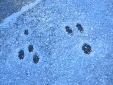 Der Schnee verrät, wer hier über das Museumsgelände gelaufen ist.<br> Foto: LWL<br />