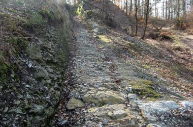 Freigelegte Spurrillen des "Hornschen Wegs" über die Große Egge bei Horn.<br> Foto: LWL<br />