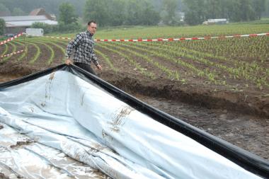 Auch im Regen musste Lukas Fischer bei seiner Prüfungsgrabung "ran" - etwa mit den wasserdichten Planen, um die archäologischen Befunde zu schützen. <br>Foto: LWL/Burgemeister<br />