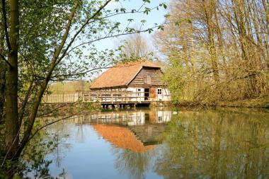 Die Mühlen des LWL-Freilichtmuseums Detmold, hier die Wassermühle, stehen im Mittelpunkt des<br> 19. ¿Tag der Mühle¿. <br>Foto: LWL/Jähne