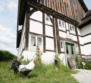Der ¿Westfälische Totleger¿ und andere Geflügelrassen sind am kommenden Wochenende bei einer Ausstellung im LWL-Freilichtmuseum Detmold zu sehen. <br>Bild: LWL/Jähne
