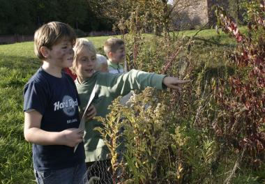 Ausflug in die Natur: Bei der Führung ¿Kohle, Kröte, Königskerze¿ erfahren junge Besucher Spannendes über Flora und Fauna rund um die Zeche Hannover. <br>Foto: LWL