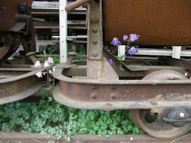 Vögel und Pflanzen fühlen sich heimisch zwischen den Feldbahngleisen der Industrieanlage. <br>Foto: LWL