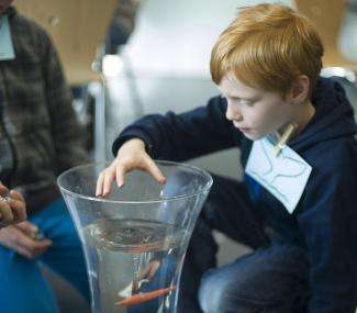 Ferien mit Meeresriesen können Kinder im LWL-Museum für Naturkunde erleben. <br>Foto: LWL/Oblonczyk