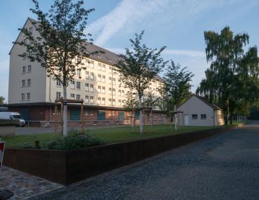 Frisches Grün sprießt in der Speicherstadt. <br>Foto: WLV