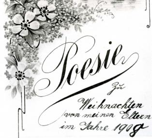 Deckblatt eines Poesie-Albums, das zu Weihnachten 1908 verschenkt wurde. <br>Foto: LWL-Archiv