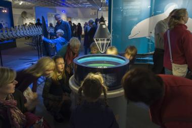 Besonders Kinder finden nun noch bis Ende April 2014 Gelegenheit zum Ausprobieren der Mitmach-Stationen in der Wal-Ausstellung. <br>Foto: LWL/Oblonczyk