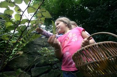 Früchte und Samen sammeln die Teilnehmer des Herbstspaziergangs am Samstag. <br>Foto: LWL/Fischer