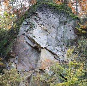 Der Osning-Sandstein der Unterkreide im Modellgebiet ¿Riesenbecker Osning¿. 