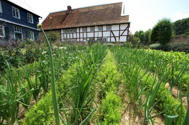 Die Vielfalt in den Gärten des LWL-Freilichtmuseums Detmold ist eines der Themen auf der Internationalen Grünen Woche. <br>Foto: LWL/Jähne